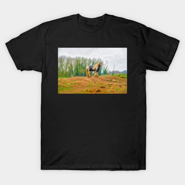 Gypsy Horse T-Shirt by vincentjnewman